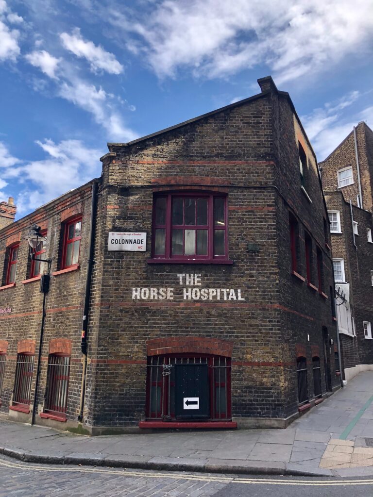 Museums in Bloomsbury